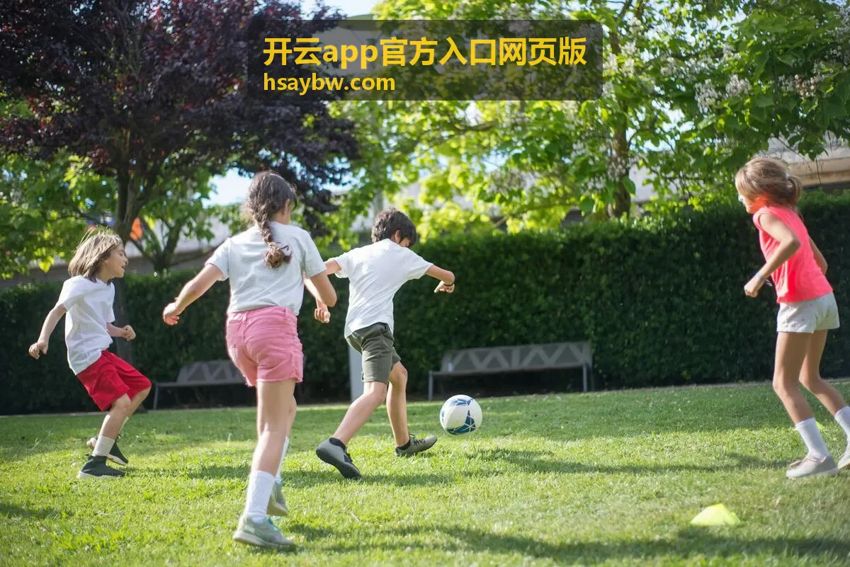 开云app官方入口网页版地址与访问路径核对示意