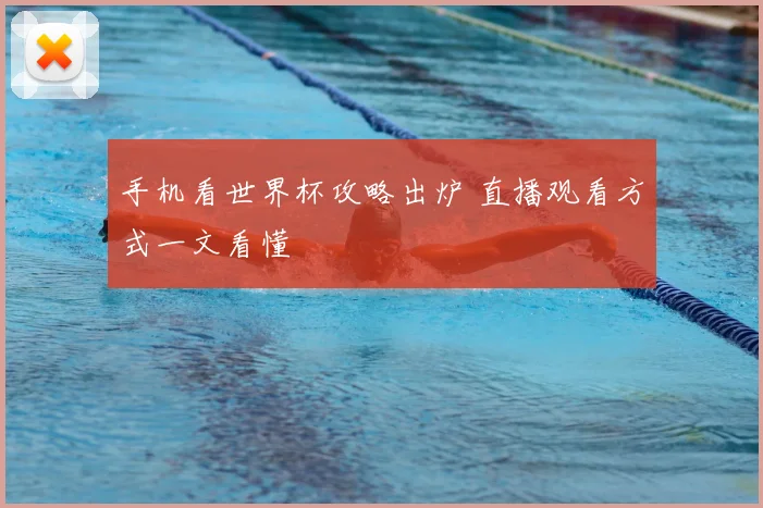 手机看世界杯攻略出炉 直播观看方式一文看懂