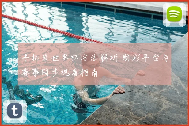 手机看世界杯方法解析 购彩平台与赛事同步观看指南