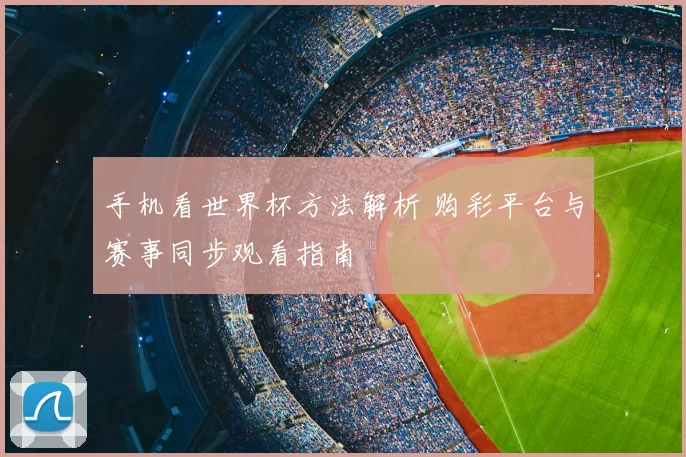 手机看世界杯方法解析 购彩平台与赛事同步观看指南